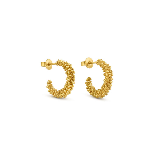 STARDUST EARRINGS HOOP MEDIUM GOLD