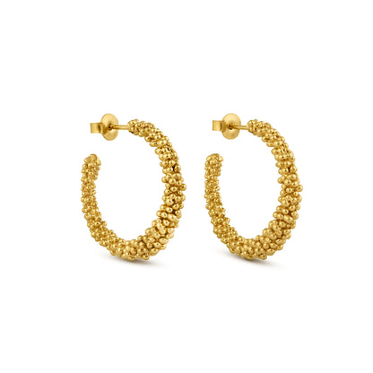 STARDUST EARRINGS HOOP LARGE GOLD